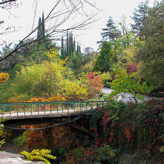 Ботанический сад